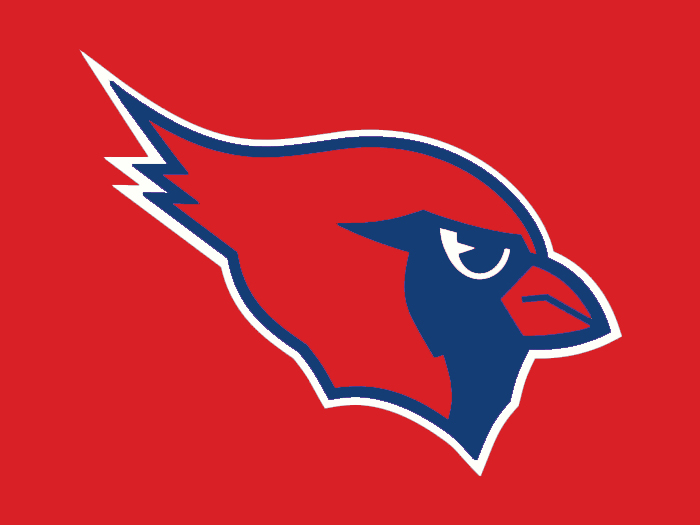 Arizona to Buffalo colors logo iron on transfers